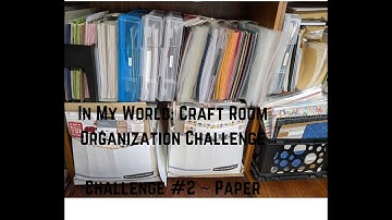 2024 Get Organized Challenge #2 ~ Paper