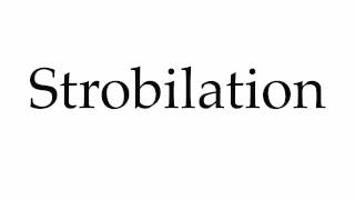 How To Pronounce Strobilation