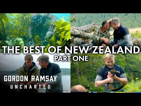 Video: De beste restaurantene i New Zealand