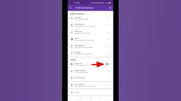 PhonePe Screen Lock Setting Enable Kaise Karen | PhonePe Fingerprint Lock Setting Enable