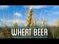 Wheat Beer from Scratch | How to Brew Everything