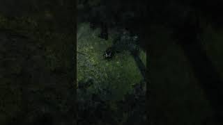 dsadas | #archange1michael on #Twitch