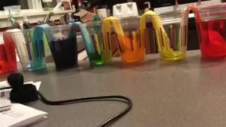 Walking water science experiment Time lapse