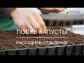 КАК ПРАВИЛЬНО ПОСЕЯТЬ КАПУСТУ | ПОСЕВ КАПУСТЫ С АГРОЛАЙФ