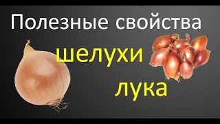 Полезные свойства шелухи лука. Как делать отвар из шелухи. Полезные свойства шелухи лука. Как делать отвар из шелухи.