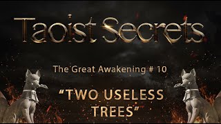 Taoist Secrets- The Great Awakening #10 Two Useless Trees