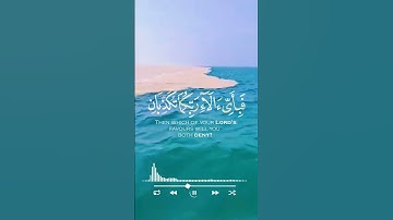 مرج البحرين يلتقيان بينهما برزخ لا يبغيان تلاوة خاشعة من سورة الرحمان