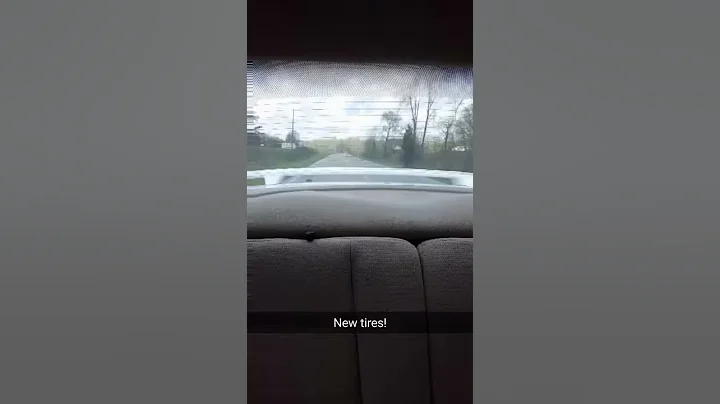 1999 Mustang v6 burnout