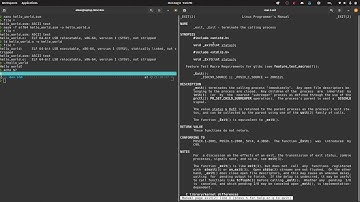 Hello world in x64 assembly (Linux)