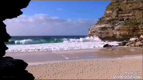 سورة الجمعة الشيخ محمد المحيسني