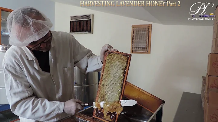 How To Harvest Lavender Honey Part 2
