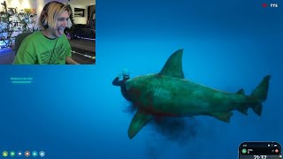 xQc Gets Eaten By Shark After Dumping Cop Car