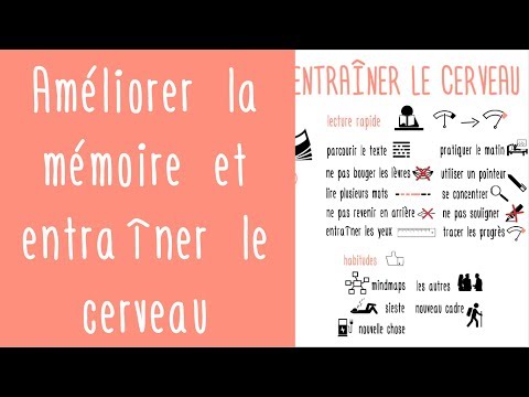 Améliorer sa mémoire et entraîner le cerveau