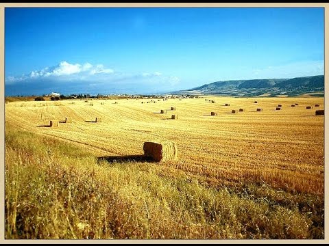 Земля кормилица