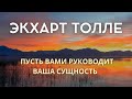 Пусть вашими действиями руководит ваша сущность - ЭКХАРТ ТОЛЛЕ [Nikosho]