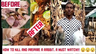 Killing And Prepare A Rabbit barbecue in Nigeria/Africa