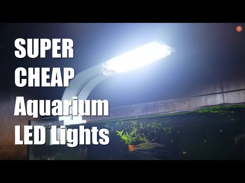 Video: Akvarium LED Chiziqlari: LED Yoritishni Qanday Tanlash Mumkin? Suv O'tkazmaydigan Diodli Lenta Yordamida DIY Yoritgichini Qanday Qilish Kerak?