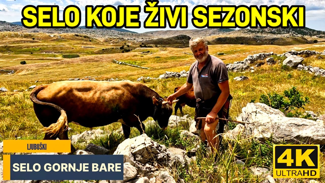 SELO KOJE ŽIVI SEZONSKI GORNJE BARE POSUŠJE  ČVRSNICA