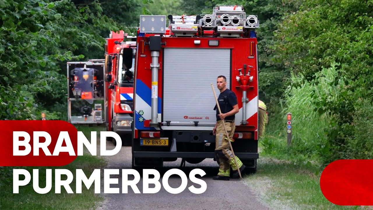 12-06-2023 Purmerend - bosbrand