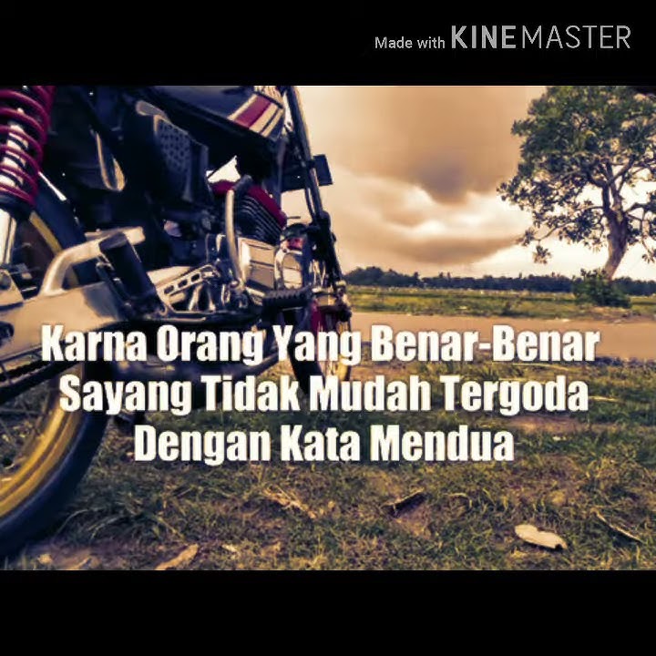 Stori wa we don't care 2019