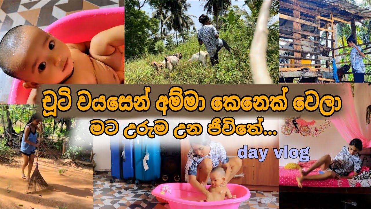  අම්මා කෙනෙක් විදිහට මට උරුම උන ජීවිතේ.. මගේ සත්ව පාලනය.. day Vlog #sandunikaushalya 