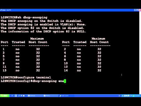 Volktek 5214 Configuration of DHCP Snooping