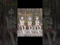 日常 #anime #youtubeshorts #アニメ #tvshow #shorts