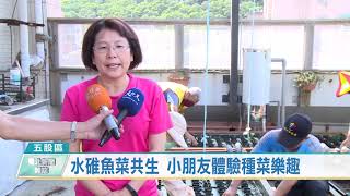 1090714水碓魚菜共生 小朋友體驗種菜樂趣