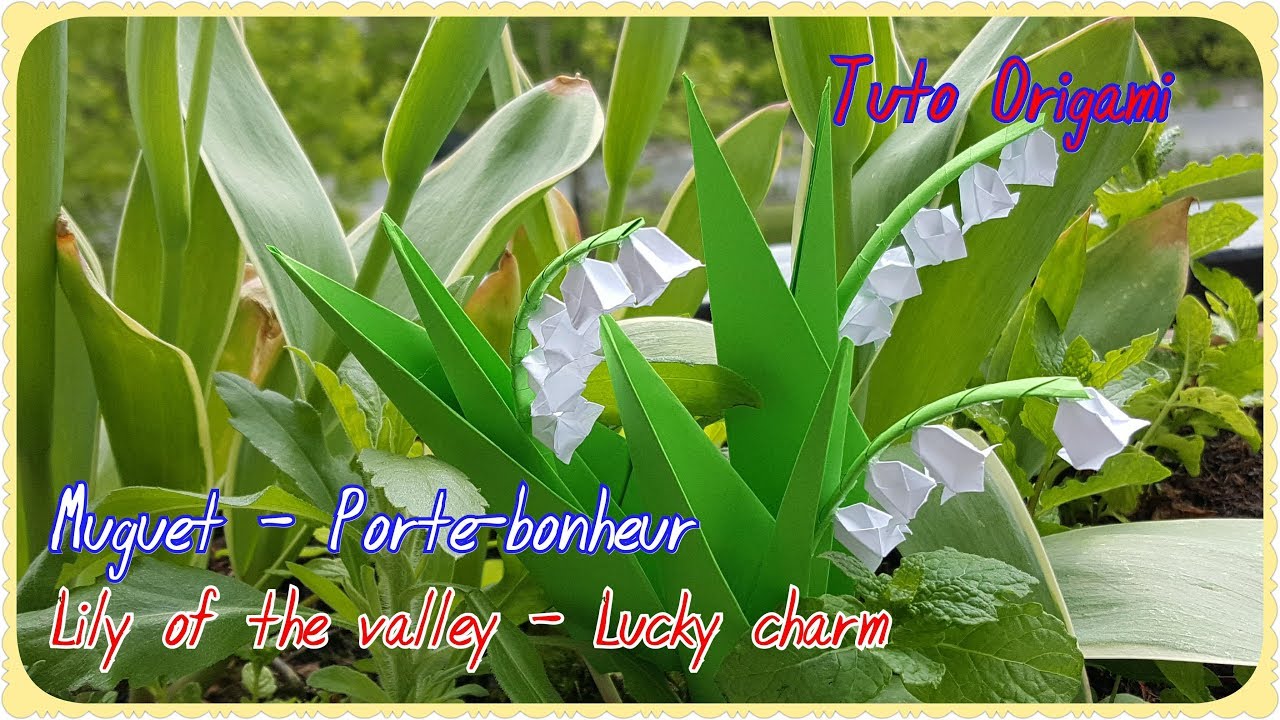 Diy Origami Lily Of The Valley Lucky Charm Brin De Muguet Porte Bonheur Hoa Linh Lan Giấy