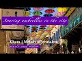 West and East - Soaring umbrellas in the city | Album Melody of Jerusalem | (Official Music Video)