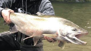 Hooking MORE Steelhead In One Day Than ALL Year! | Addicted Life Ep. #24