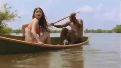 Swamp Shark count dead