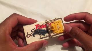 SET A MOUSE TRAP - HOW TO