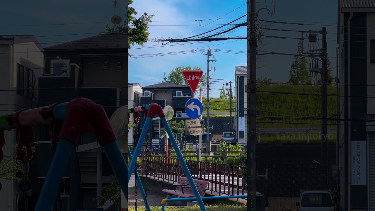 Strolling in Tokyo at dusk🐈🍃☁️