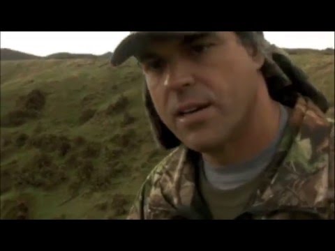 Alex Locay: The Hunting Experience - Red Stag