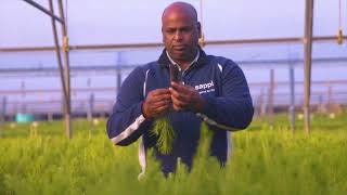 WITH ELLEPOT YOU CAN GROW SMARTER