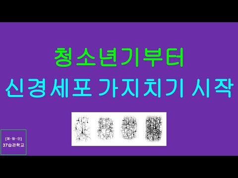 매탐인 신경세포 가지치기 - 선택과 집중을 위해 청소년기부터 신경세포는 가지치기 시작