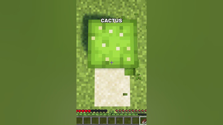Fall Damage Test #minecraft