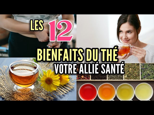 Les bienfaits du thé sur la santé