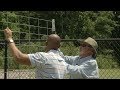Building a Blackberry Trellis – Family Plot Building a Blackberry Trellis – Family Plot