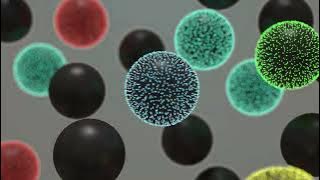 BD Rhapsody™ HT Single-Cell System