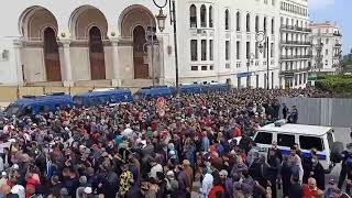 Alger - Un Tsunami Humain 😨😨😮