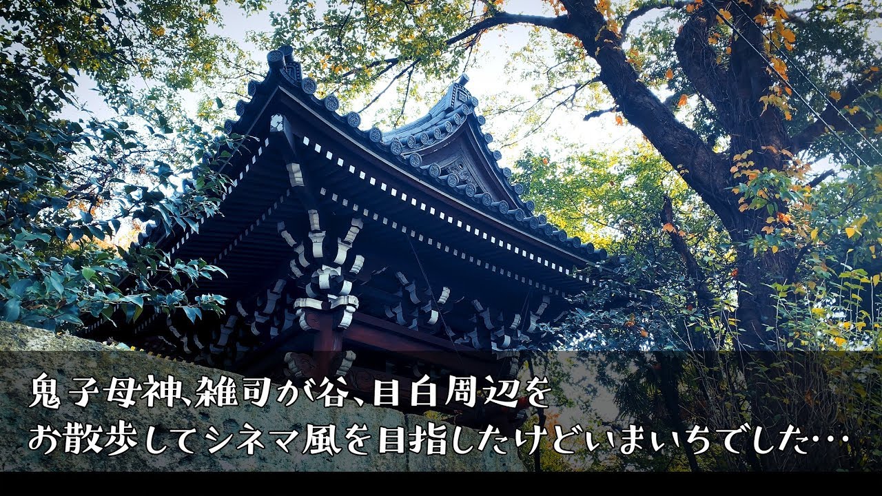 豊島区の鬼子母神、雑司が谷を散歩（シネマライク目指して失敗） camera iphone 8 plus apk