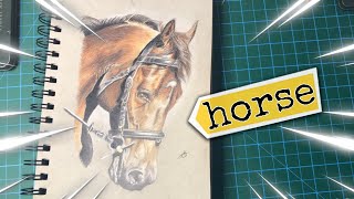 Drawing of a horse in wood colors/ رسم حصان بالالوان الخشبية