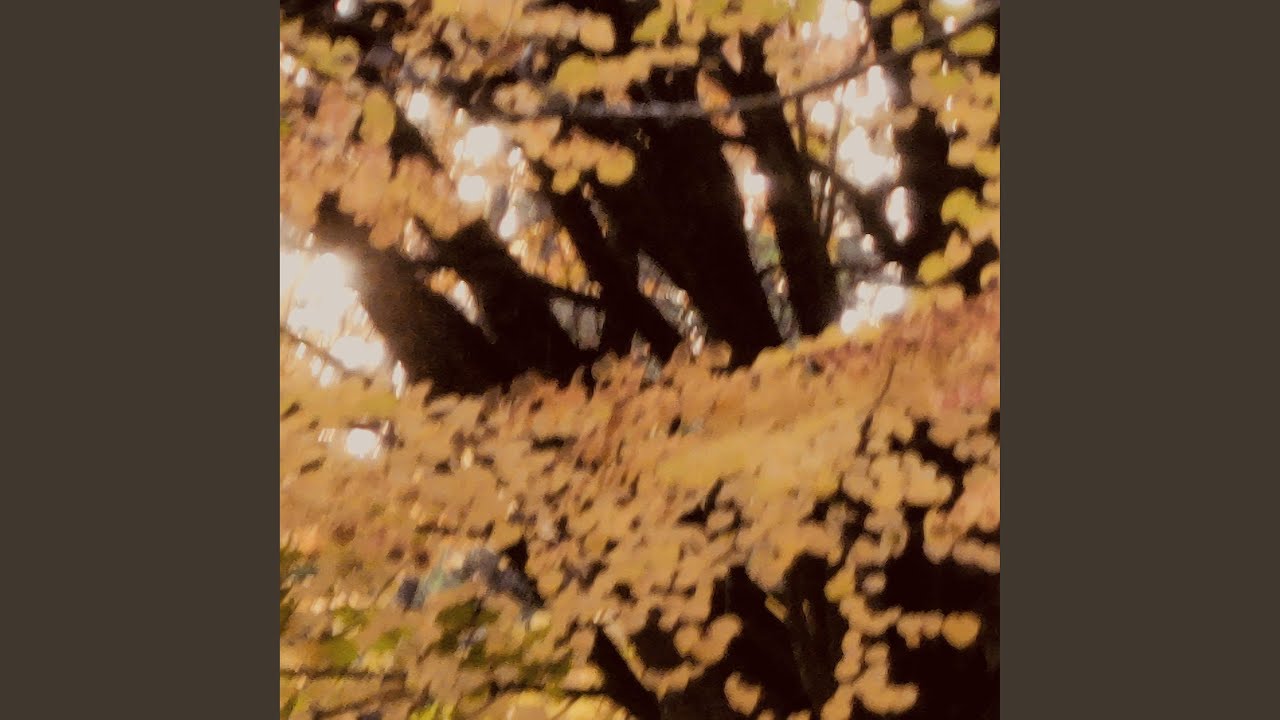 Watch Halloween on YouTube Watch Halloween on YouTube