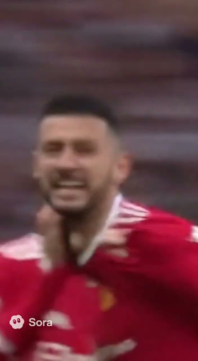 Football Match Interrupted by a Cat again! 🐱⚽ Футбольний матч знов перервав кіт!