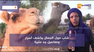 واش حليب الناقة كيعالج الأمراض؟شاب مول الجمال يكشف أسرار وتفاصيل جد مثيرة