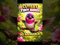 Anna Hummingbird | World's Fastest Tiny Bird | Amazing Facts in 6 Seconds#shorts  🐦
