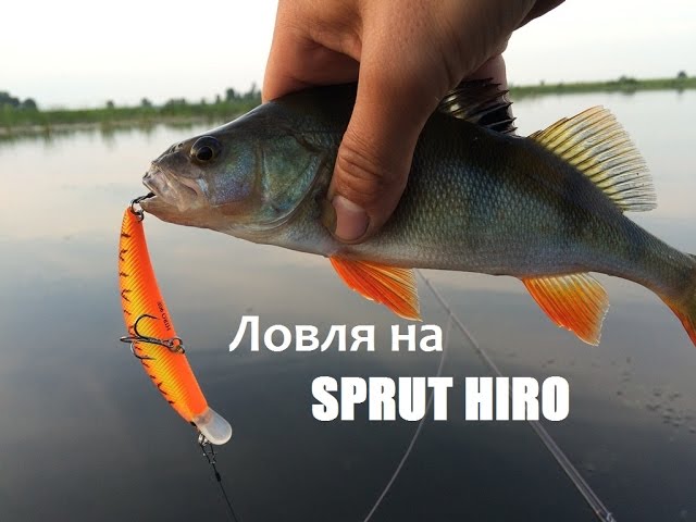 Ловля на SPRUT HIRO