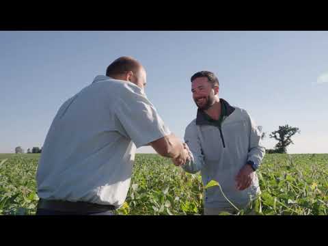 Seed Treatment by BASF Tackles Challenges Before Seeds Even Reach the Soil